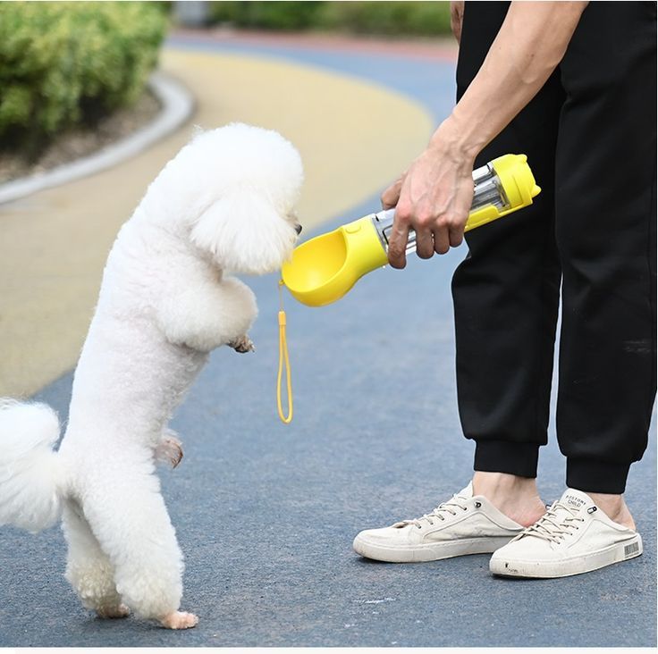 Botella 3 en 1 para mascotas