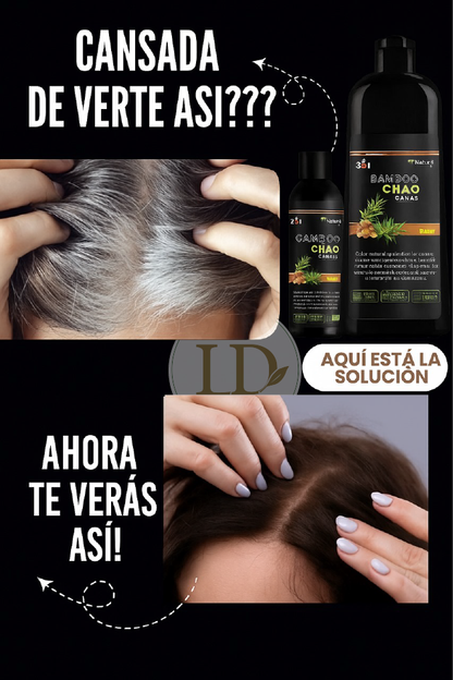 Kit Shampoo Chao Canas 3 en 1 + Obsequios Exclusivos (Exfoliante de Cafe + Ampolla Capilar)