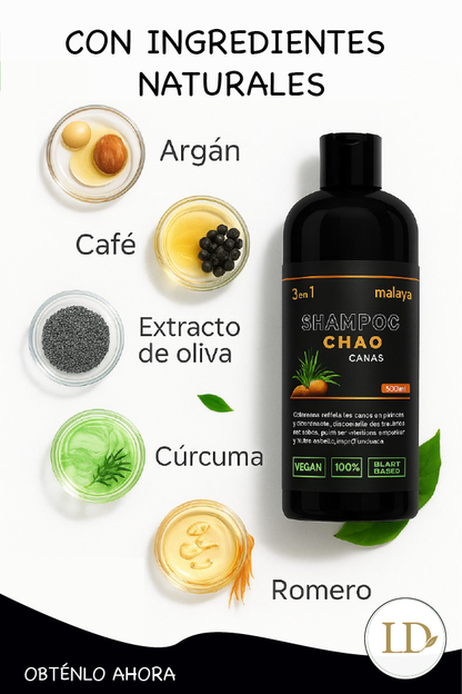 Kit Shampoo Chao Canas 3 en 1 + Obsequios Exclusivos (Exfoliante de Cafe + Ampolla Capilar)