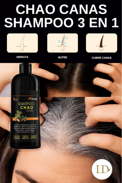 Kit Shampoo Chao Canas 3 en 1 + Obsequios Exclusivos (Exfoliante de Cafe + Ampolla Capilar)